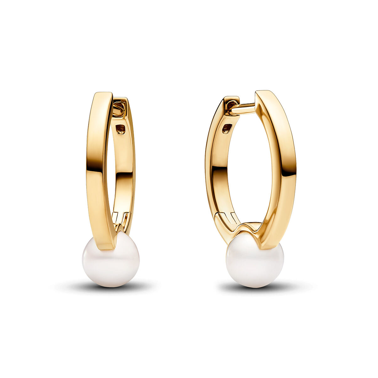 Pandora_Earring_14k Gold-plated_Freshwater Pearls_263170C01_119,00 Euro